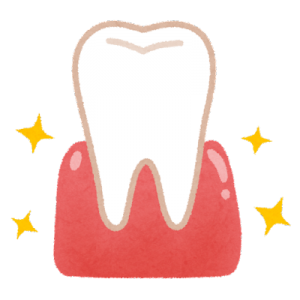 妊婦の歯茎